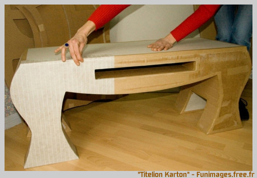 funimages image photo insolite art meuble en carton titelion karton lozère